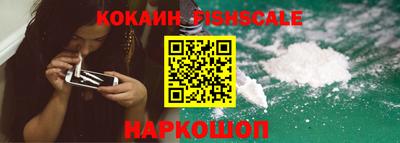 шишки Изобильный