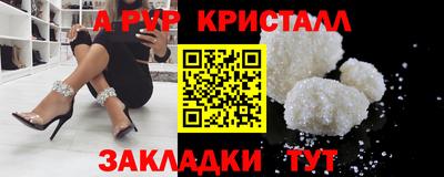 шишки Изобильный