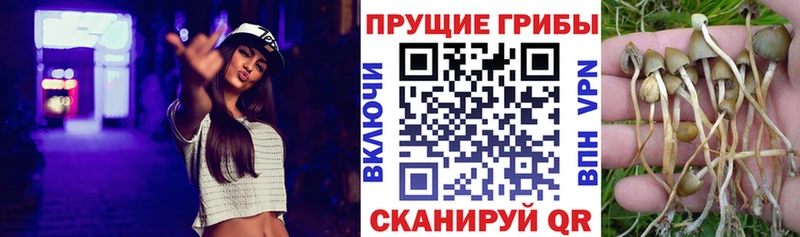 Псилоцибиновые грибы Magic Shrooms  это наркотические препараты  Тара 