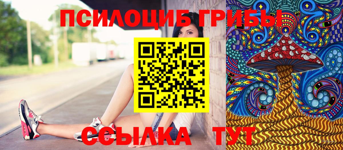 Псилоцибиновые грибы мухоморы  что такое   Тара  Вход с VPN 